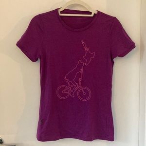 Icebreaker Merino Wool TShirt